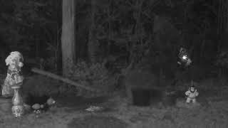 ASMR MISSISSIPPI BACKYARD NIGHTVISION CRITTERCAM [upl. by Parish]