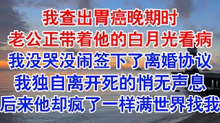 我查出胃癌晚期，孤独无助时。老公正带着另外一个女人看病。后来，我没哭没闹，平静的签好了离婚协议。他却疯了一样满世界找我小说 故事 爱情故事 情感 情感故事 亲情故事 为人处世 婚姻 [upl. by Kenric256]