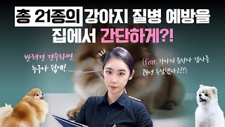 총 21종의 강아지 질병 예방을 집에서 간단하게 [upl. by Zerlina]