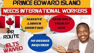 INTERNATIONAL WORKERS URGENTLY NEEDED IN CANADA  SEND ONLY YOUR CV NOW  MASSIVE RECRUITMENT [upl. by Nageam]