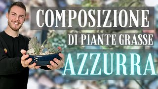 COMPOSIZIONE DI PIANTE GRASSE step by step  cura e mantenimento [upl. by Froma623]