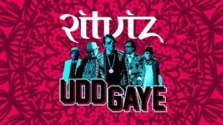 Ritviz  Udd Gaye Official Audio [upl. by Cower]