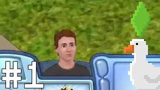 PETER BRANZ W THE SIMS 3 [upl. by Ayouqat444]