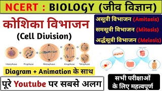 कोशिका विभाजन  Cell division  samsutri aur ardhasutri vibhajan  Biology  Study vines official [upl. by Verlie510]