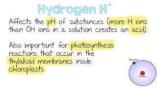 Inorganic Ions  Quick A Level Biology Revision [upl. by Tnomal893]