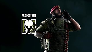 Maestro Ace  Standard  R6 [upl. by Pansie207]