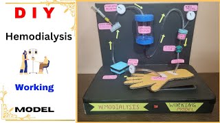 Hemodialysis Working Model Kaise Banaye How to make Hemodialysis Working Model science neet [upl. by Auod]