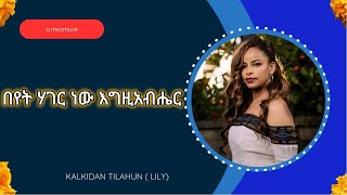 በየት ሃገር ነው እግዚአብሔር Kalkidan Tilahun ቃልኪዳን ጥላሁን ሊሊ  Amharic Lyrics [upl. by Rozanna]