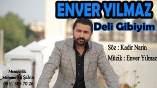 ENVER YILMAZ  DELİ GİBİYİM  Official Audio [upl. by Suolekcin459]