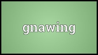 Gnawing Meaning [upl. by Alfie]