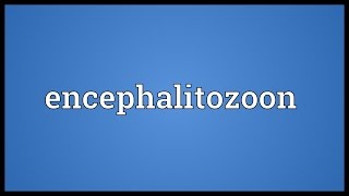 Encephalitozoon Meaning [upl. by Hofstetter]