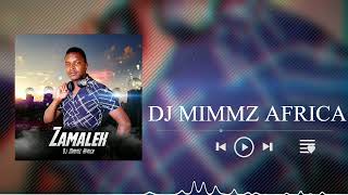 Dj Mimmz Africa  Zamalek [upl. by Ainar82]