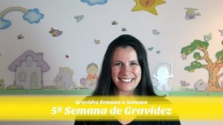 5ª SEMANA DE GRAVIDEZ [upl. by Fortier]