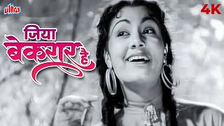 Jiya Beqarar Hai Video Song  Lata Mangeshkar  Barsaat Songs  Raj Kapoor  Hindi Movie Song [upl. by Odnavres376]