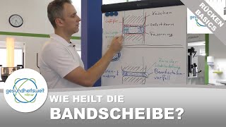 Die Bandscheibe Wie sollte ich nach einem Bandscheibenvorfall trainieren RückenBasics [upl. by Adnotal]