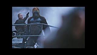 Red Donkey Saves Caesar  Death Scene  War for the Planet of the Apes 2017LOWI [upl. by Htebyram68]