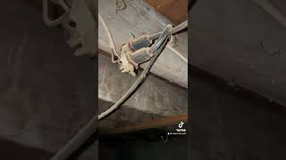 Garage Marijuana Grow Electrical electrical safetyfirst portland jerryrigeverything [upl. by Odracir]