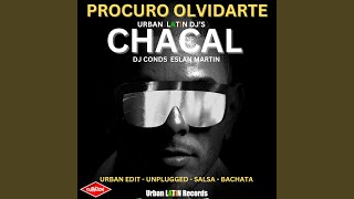 Procuro Olvidarte Salsa Urbana [upl. by Ateuqirne354]