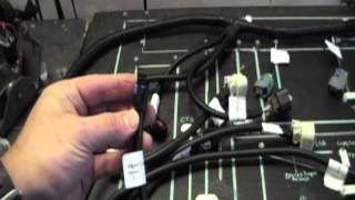 LS3 WIRE HARNESS [upl. by Gayner]