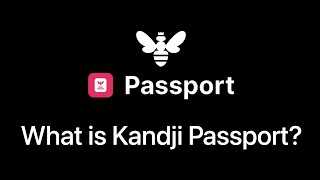 What is Kandji Passport [upl. by Ayotna959]