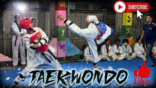 Bangladesh taekwondo  martial arts sparring match   Jason vs Nabil [upl. by Ayim]