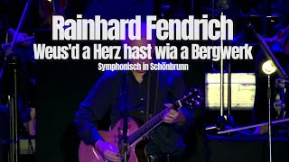 Rainhard Fendrich quotWeusd a Herz hast wia a Bergwerkquot Symphonisch in Schönbrunn [upl. by Ozan]