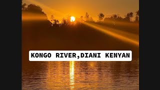 KONGO RIVERDIANI KENYA travel kenya sunsetlovers sunsetview mangroove birdwatching diani [upl. by Louanna]