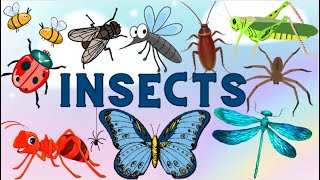 Insects Learn Insects names in English for Kids Ant Honeybee Fly Mosquito Butterfly Grasshopper [upl. by Oijimer]