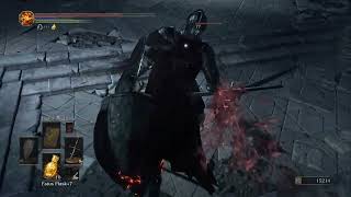 Lothric Castle Part 1  Consumed Kings Garden Untended Graves [upl. by Ahsercal454]