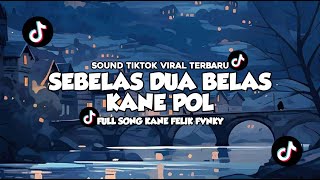 DJ SEBELAS DUABELAS VIRAL TIK TOK TERBARU 2024  Felik Fvnky [upl. by Rafe224]