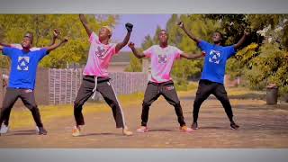 Jah Prayzah  Ndibatei Dhokota  Official Dance Vide [upl. by Higbee378]