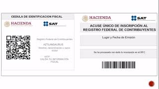 Como tramitar tu RFC CSF y EFIRMA si eres adulto mayor o Persona con Discapacidad [upl. by Hannover]