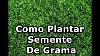 COMO PLANTAR SEMENTE DE GRAMA PARA JARDIM PAISAGISMO VASOS [upl. by Daye]