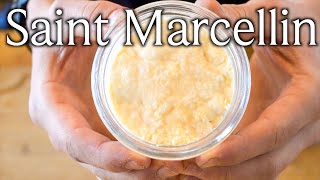 Making Saint Marcellin – A Cheese With a Fondue Like Interior [upl. by Macur20]