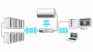 ProtonPACS How It Works Animation [upl. by Shimberg]