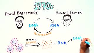 Reverse Transcriptase an Enzyme that copies RNA to DNA [upl. by Atnuahsal843]