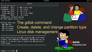 The gdisk command  create delete and change partition type  Linux disk management [upl. by Medor]