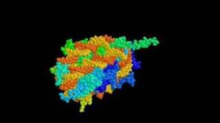 nucleosome [upl. by Neros]