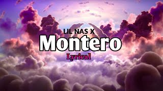 Lil Nas X  Montero lyrical  7th Sea Lofi [upl. by Nama257]