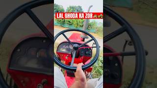 Mahindra tractor driving video shorts youtubeshorts ytshorts dailyvlog minivlogs [upl. by Syramad729]