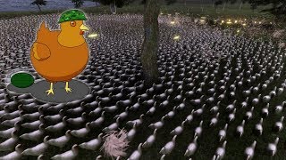 10000 chickens vs US Army [upl. by Drallim]