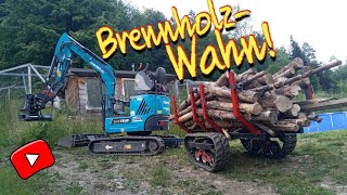 Brennholz sortieren ablängen und transportieren mit SUNWARD SWE18UF Reupload [upl. by Seeto]