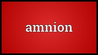 Amnion Meaning [upl. by Gaiser320]