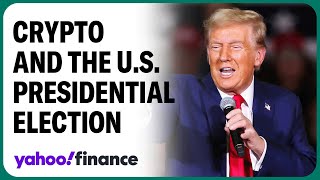 Trump trade a big driver of crypto prices reporter says [upl. by Hoenack]