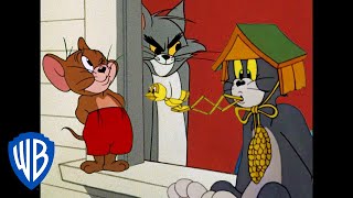 Tom i Jerry po polsku 🇵🇱  Królowie psot  WB Kids [upl. by Eolhc]