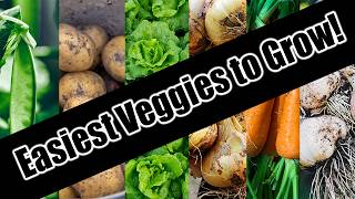 Top 6 Easy To Grow Vegetables For BeginnersSEED TO HARVEST [upl. by Buskirk]