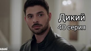 Дикий  Турецкий сериал 40 серия2 фрагмент Yabani 40 bölüm fragman [upl. by Nylirehs784]