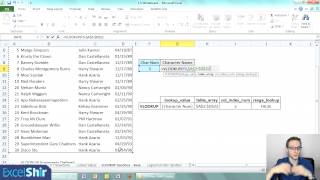 The Most Important Excel Function You Will Ever Learn VLOOKUP Function [upl. by Einapets]