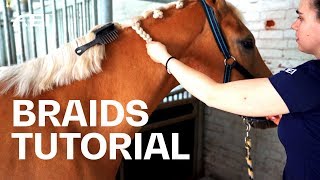 How to braid your horses mane Tutorial with Olivia Towers  Guest Vlog [upl. by Akienaj546]