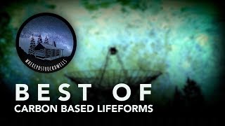 Best of Carbon Based Lifeforms [upl. by Gilbye122]